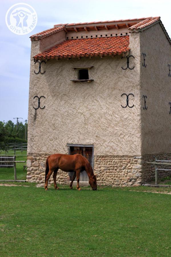 Chambres D'Hotes Ondine Et Igor Saint-Marcellin-en-Forez ภายนอก รูปภาพ